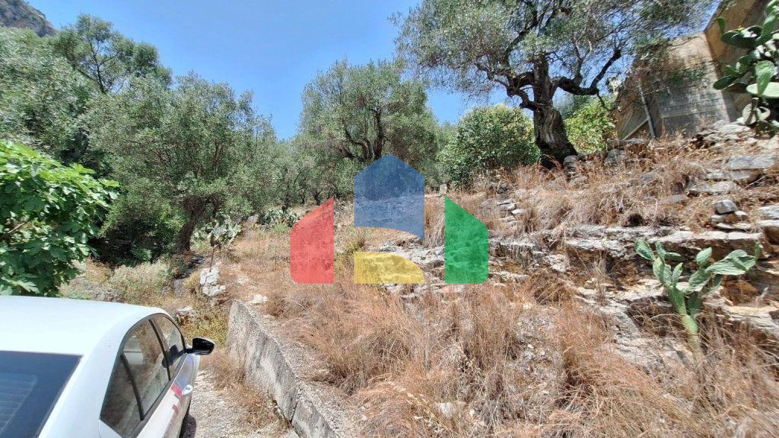 Продажа - Земельный участок 6000 m² на о. Корфу