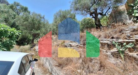 Продажа - Земельный участок 6000 m² на о. Корфу