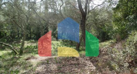 For Sale - Land 2985 m² in Corfu