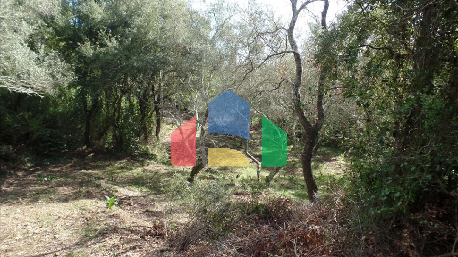 Продажа - Земельный участок 2985 m² на о. Корфу