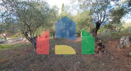 Продажа - Земельный участок 2306 m² на о. Корфу