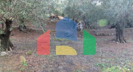 Продажа - Земельный участок 2306 m² на о. Корфу