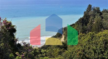 Продаж - Земельна ділянка 12000 m² на о. Корфу