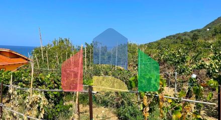 Продажа - Вилла 265 m² на о. Корфу