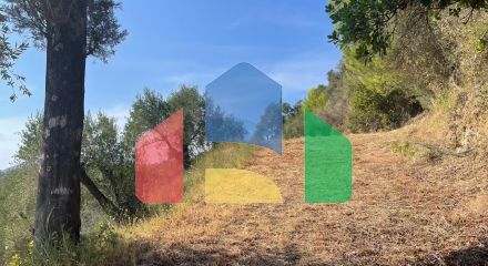 Продаж - Земельна ділянка 2603 m² на о. Корфу