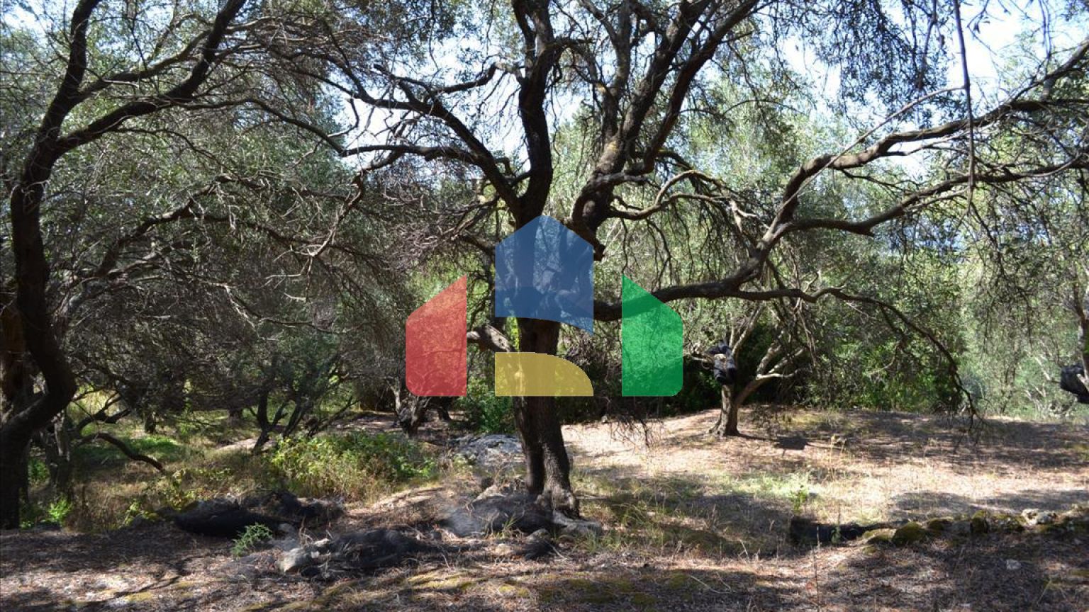 Продаж - Земельна ділянка 9150 m² на о. Корфу