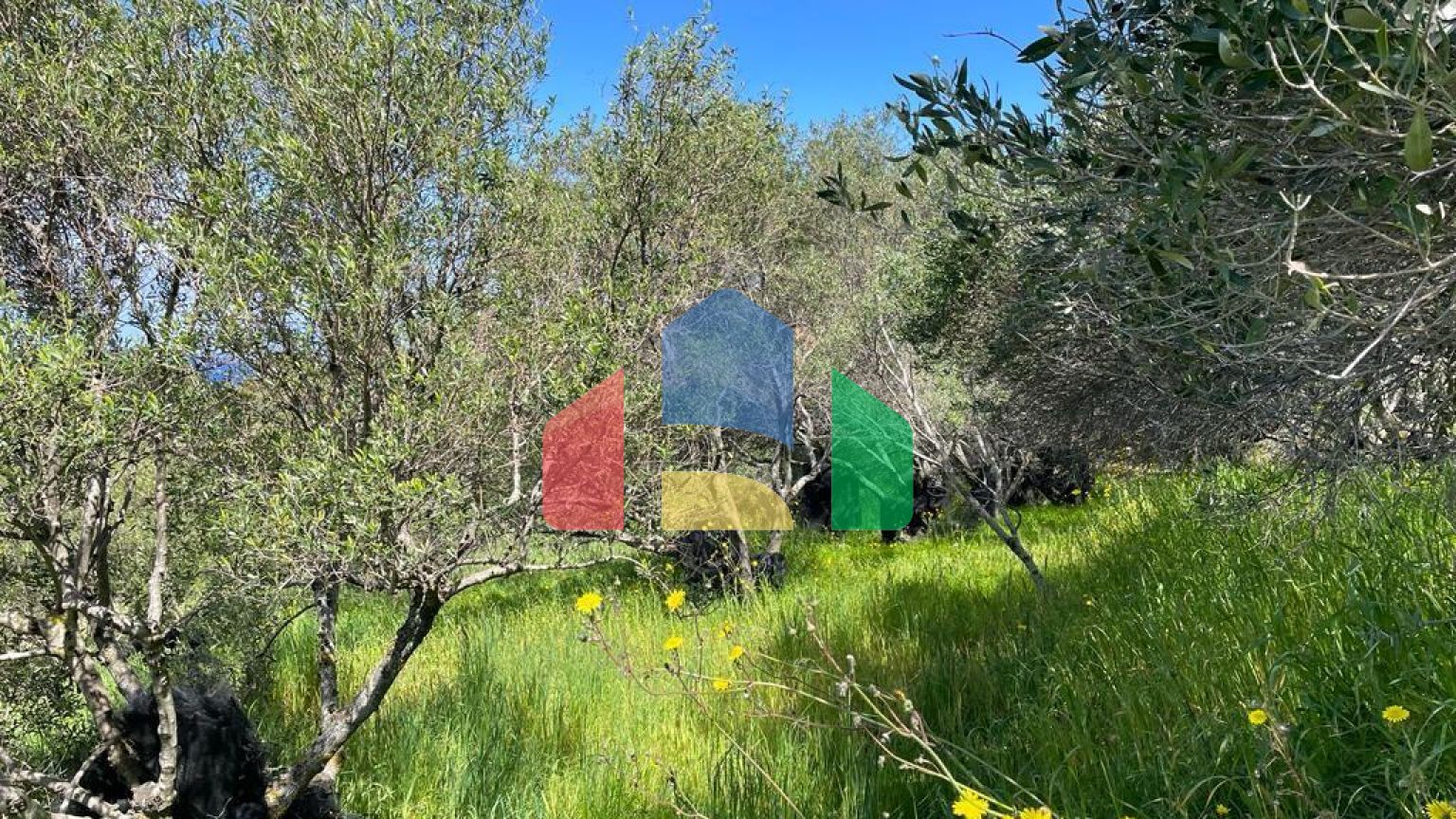 Продаж - Земельна ділянка 9150 m² на о. Корфу