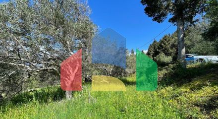 Продаж - Земельна ділянка 9150 m² на о. Корфу