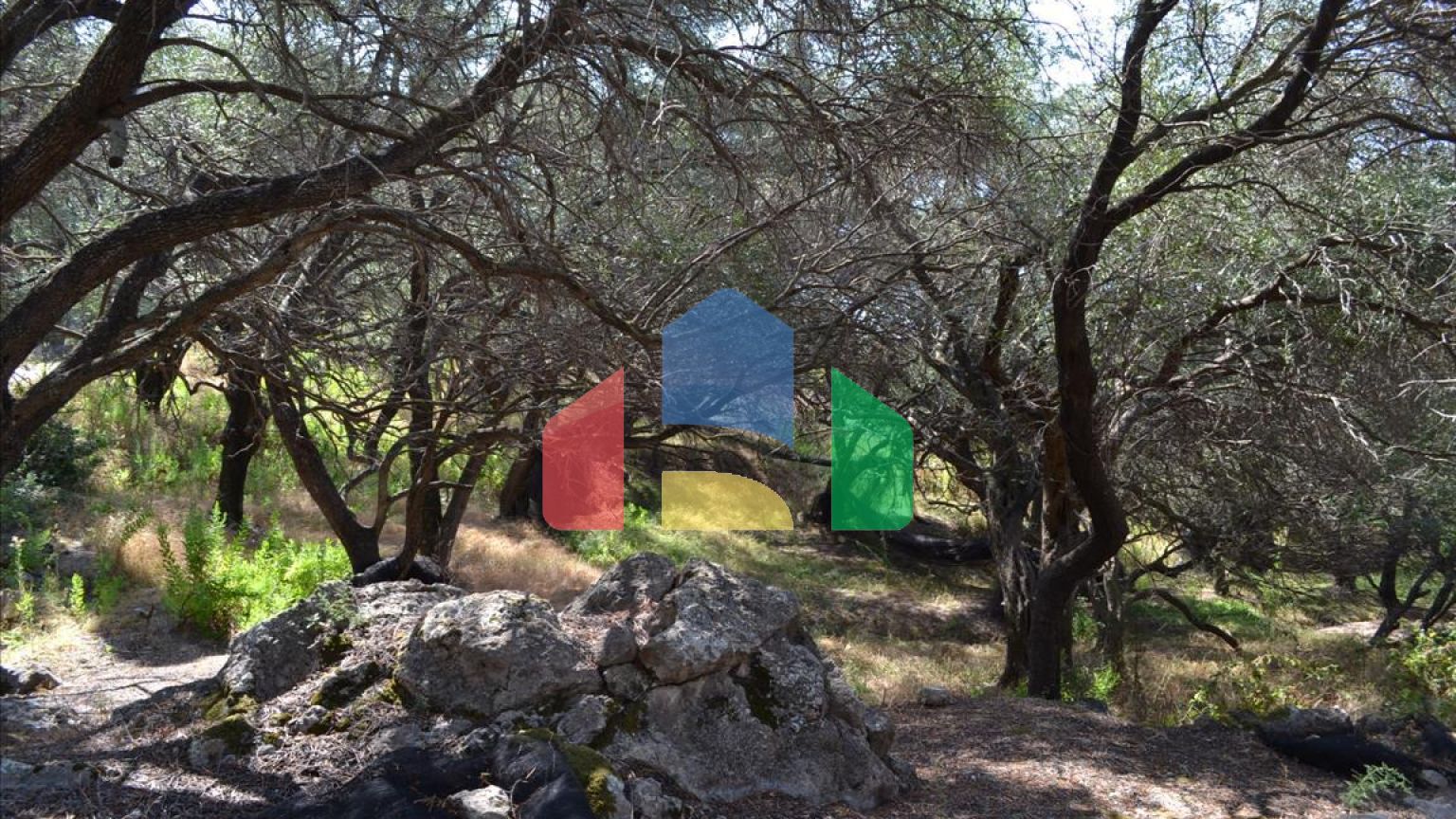 Продаж - Земельна ділянка 9150 m² на о. Корфу