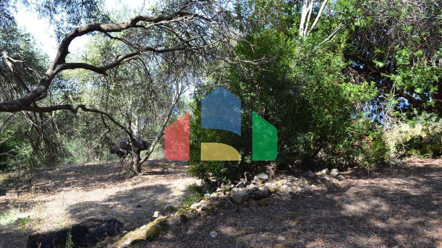 Продаж - Земельна ділянка 9150 m² на о. Корфу