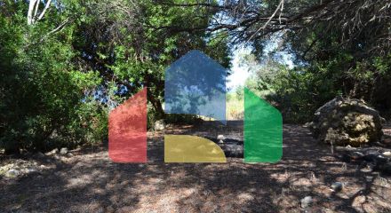 Продаж - Земельна ділянка 9150 m² на о. Корфу