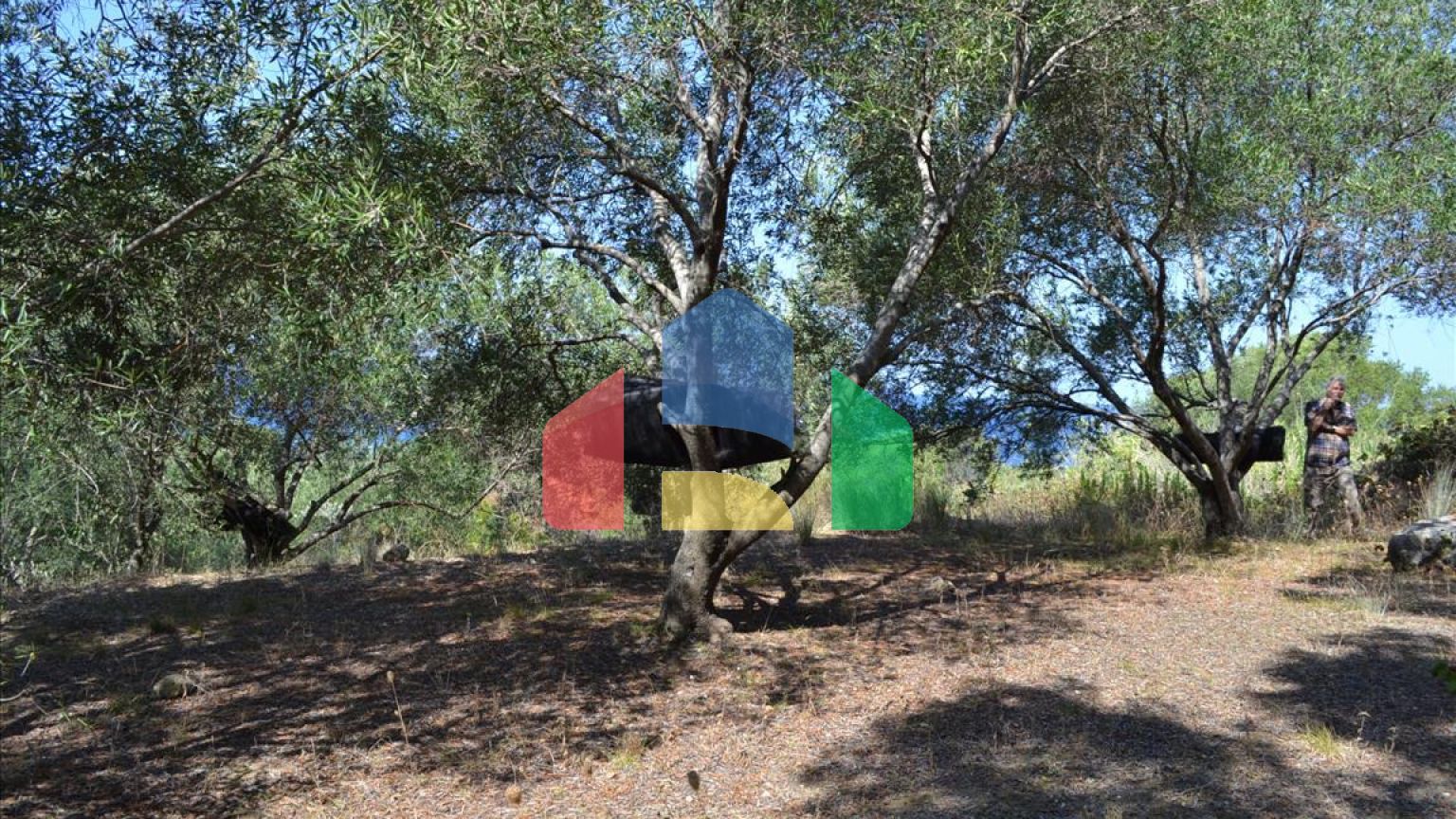 Продаж - Земельна ділянка 9150 m² на о. Корфу