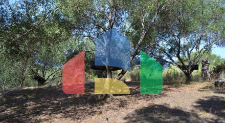 Продаж - Земельна ділянка 9150 m² на о. Корфу