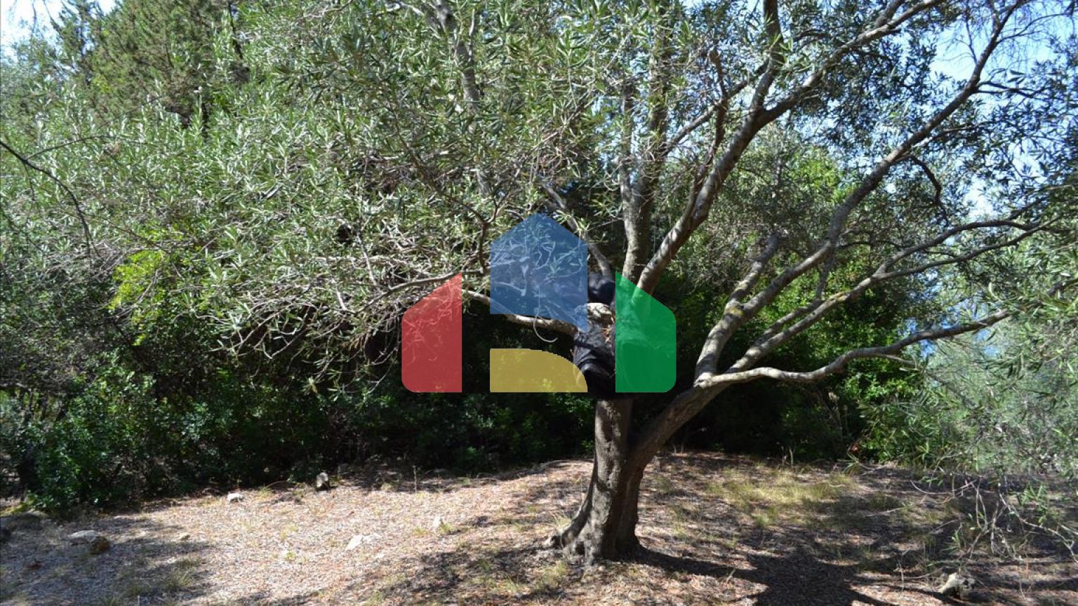 Продаж - Земельна ділянка 9150 m² на о. Корфу