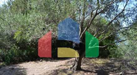 Продаж - Земельна ділянка 9150 m² на о. Корфу