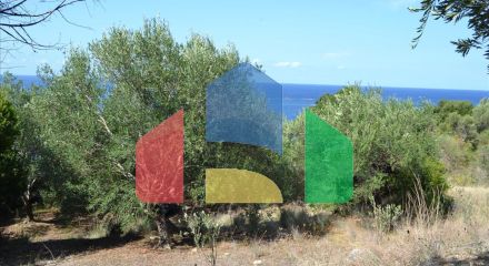 Продаж - Земельна ділянка 9150 m² на о. Корфу