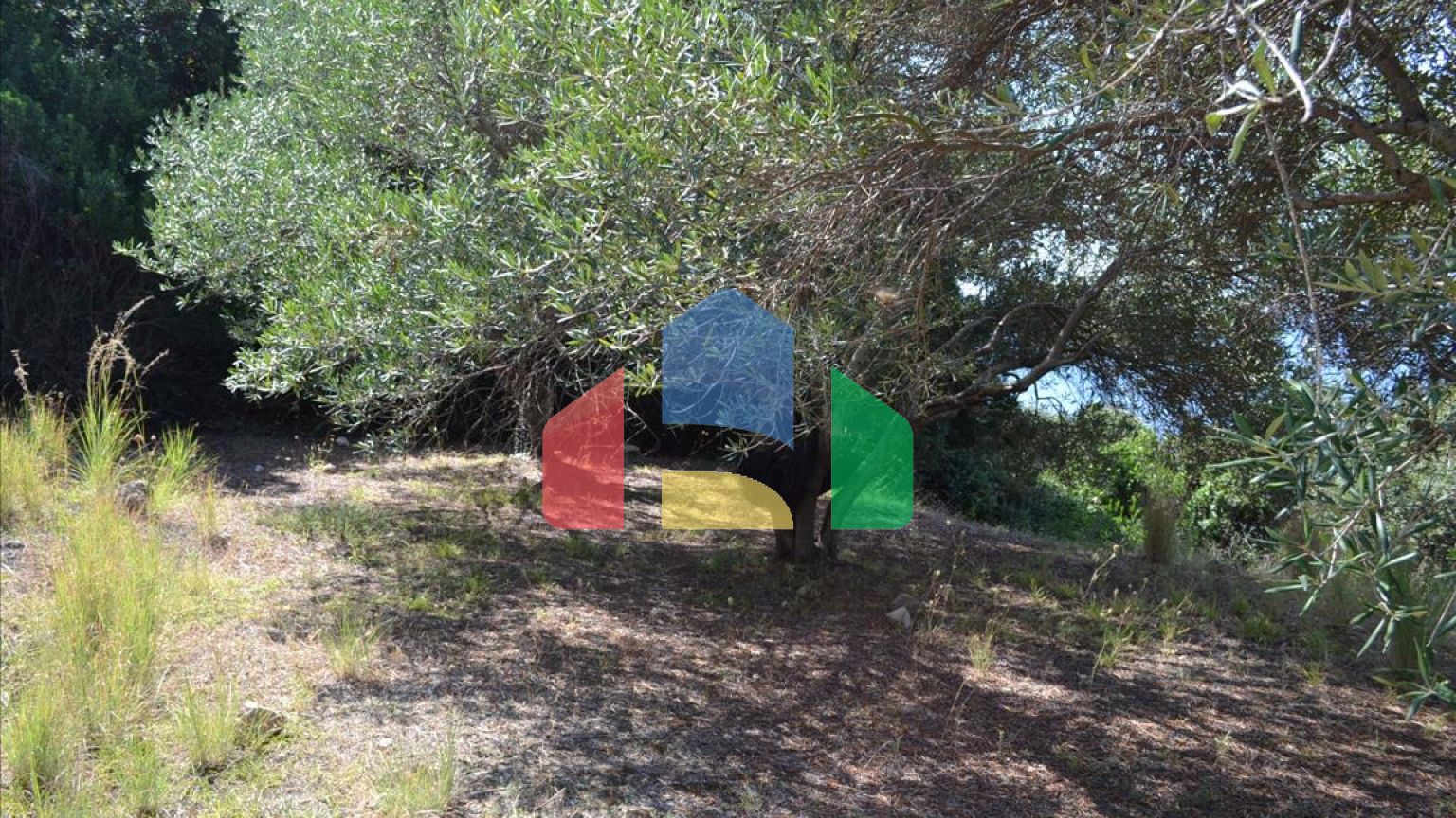 Продаж - Земельна ділянка 9150 m² на о. Корфу