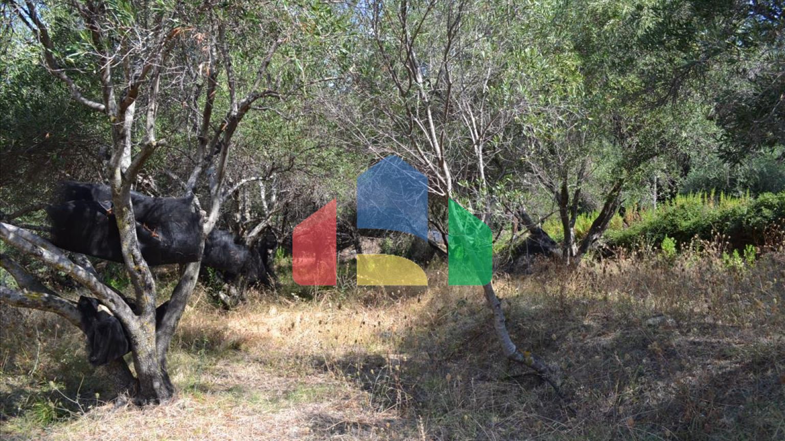 Продаж - Земельна ділянка 9150 m² на о. Корфу