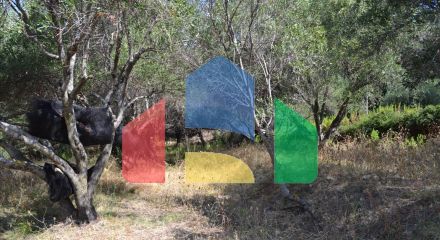 Продаж - Земельна ділянка 9150 m² на о. Корфу