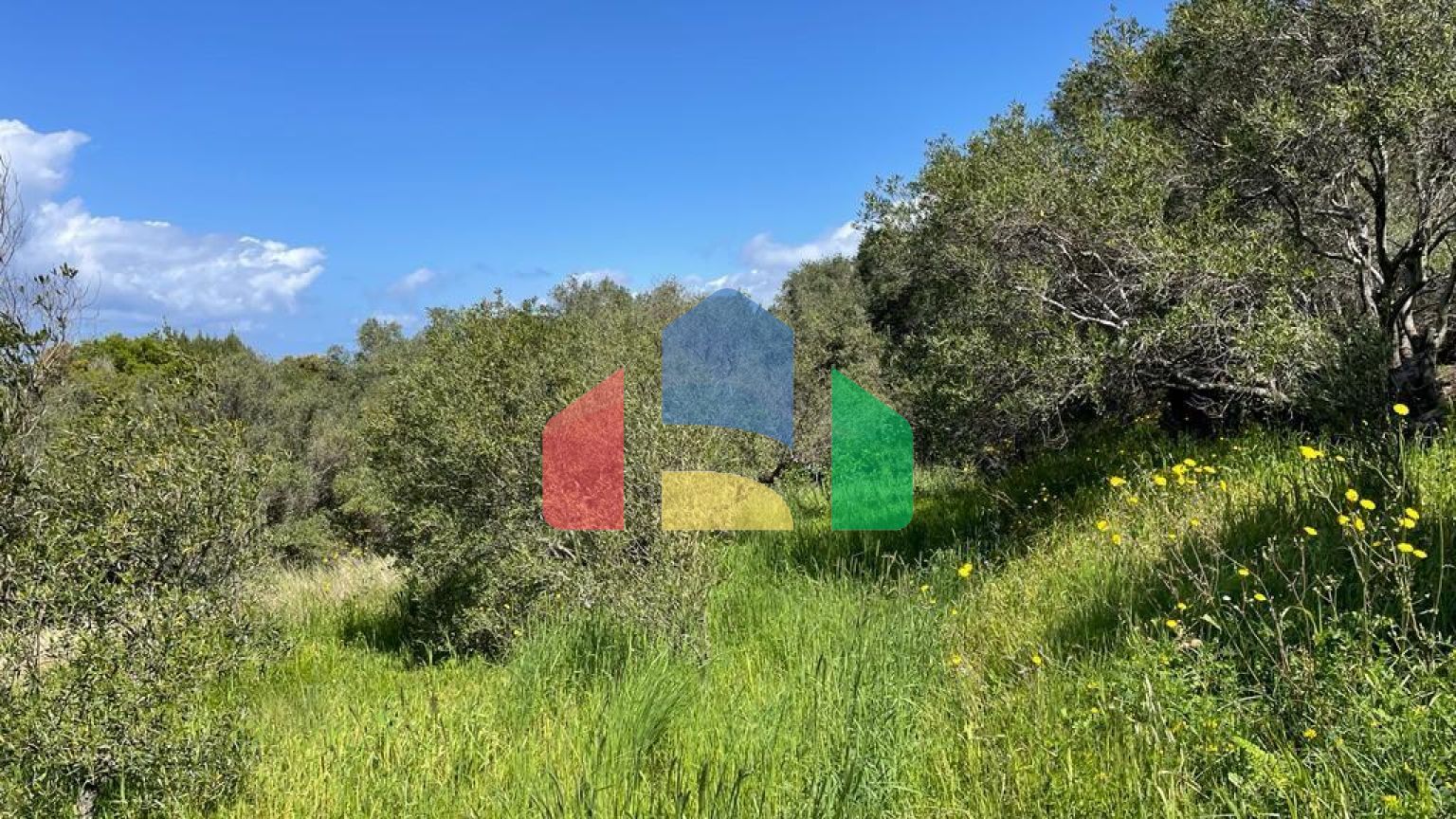 Продаж - Земельна ділянка 9150 m² на о. Корфу