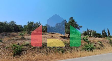 Продаж - Земельна ділянка 2776 m² на о. Корфу