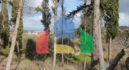 Продаж - Земельна ділянка 6135 m² на о. Корфу