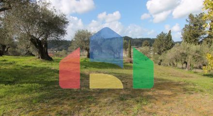 Продаж - Земельна ділянка 6135 m² на о. Корфу