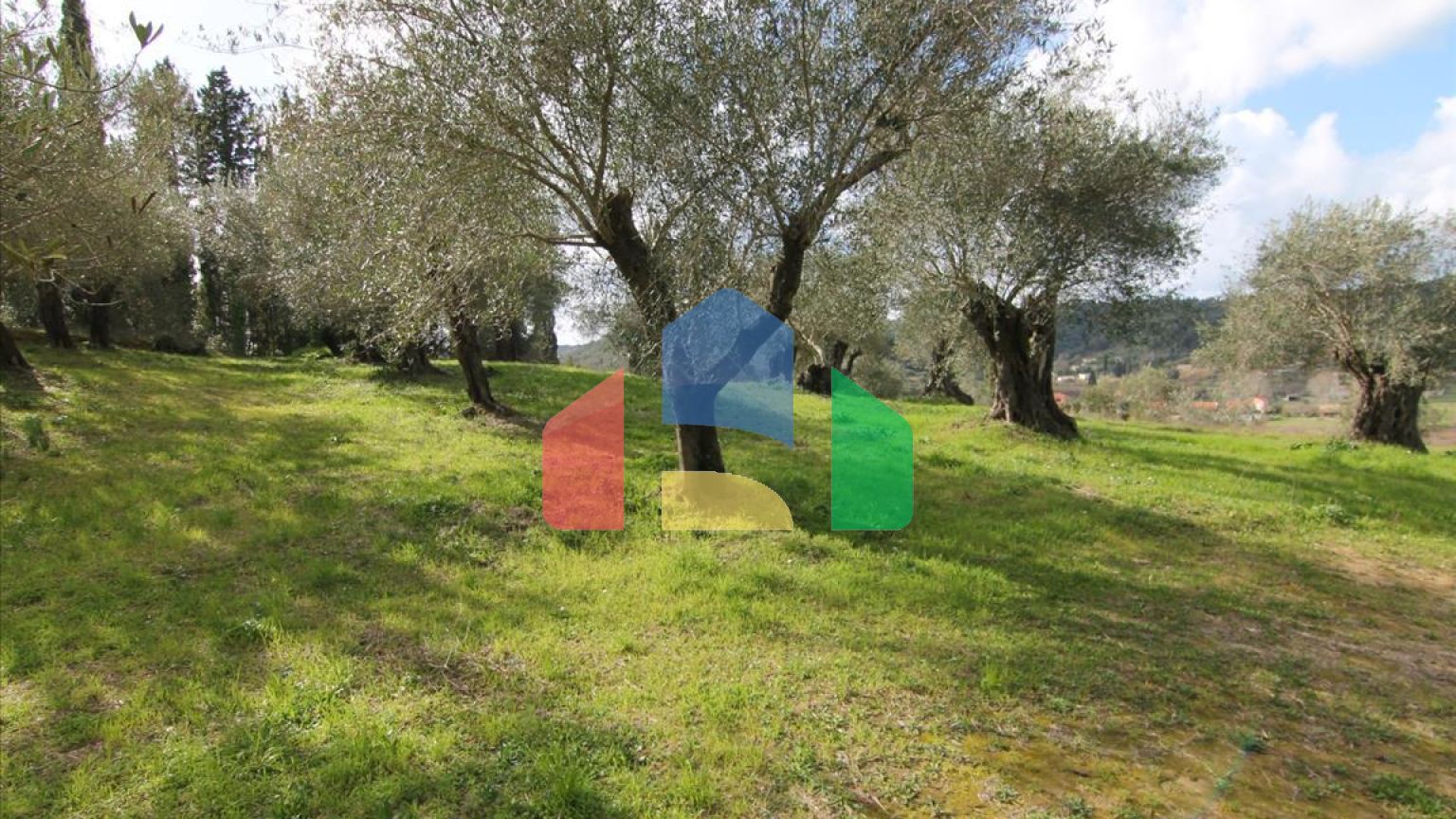 Продаж - Земельна ділянка 6135 m² на о. Корфу