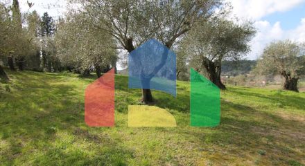 Продаж - Земельна ділянка 6135 m² на о. Корфу