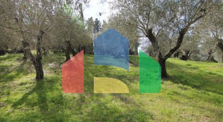 Продаж - Земельна ділянка 6135 m² на о. Корфу