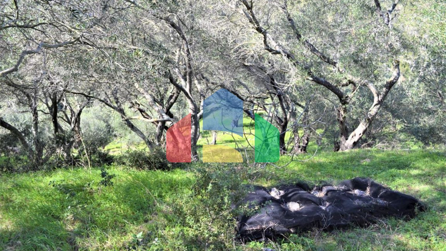 Продаж - Земельна ділянка 70000 m² на о. Корфу