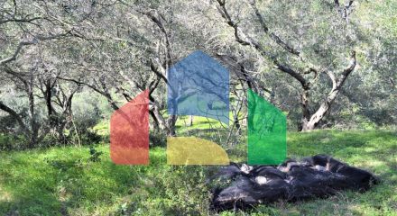 Продаж - Земельна ділянка 70000 m² на о. Корфу