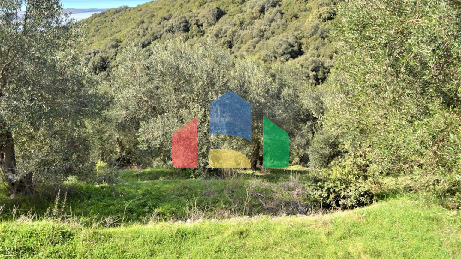 Продаж - Земельна ділянка 70000 m² на о. Корфу