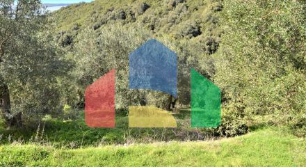 Продаж - Земельна ділянка 70000 m² на о. Корфу