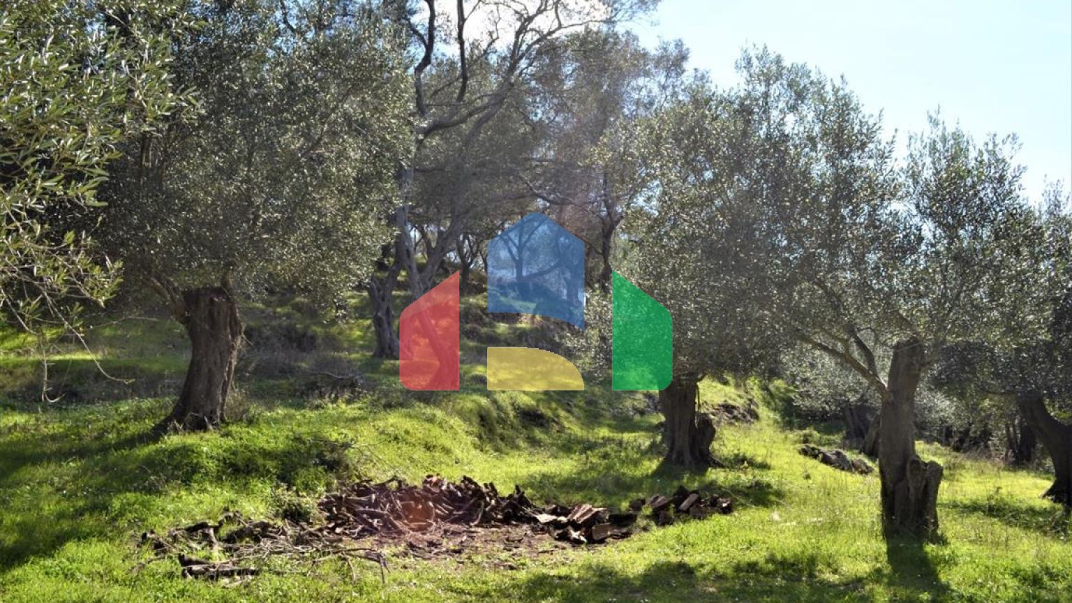 Продаж - Земельна ділянка 70000 m² на о. Корфу