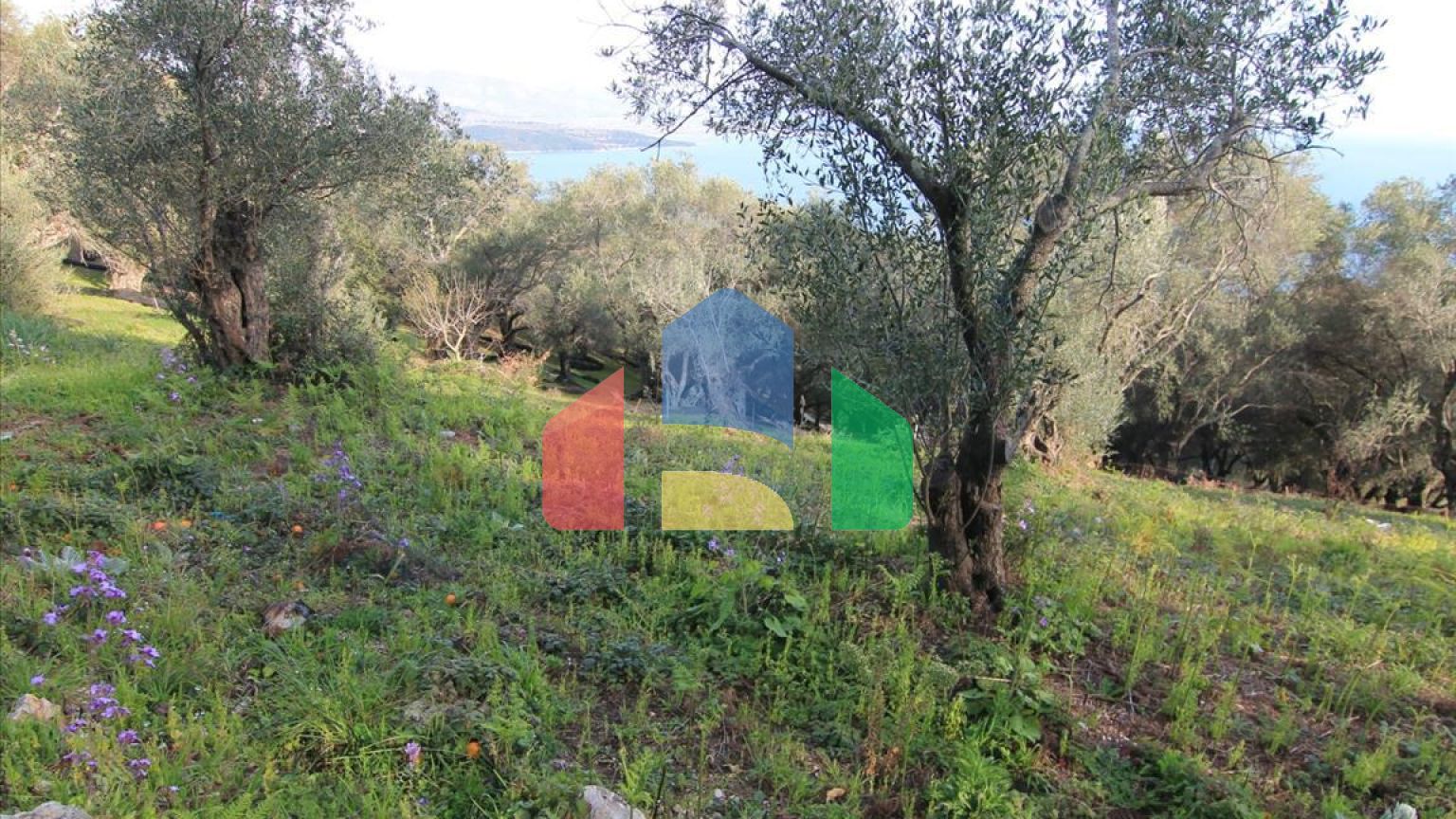 Продажа - Земельный участок 2400 m² на о. Корфу