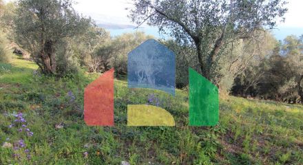 Продажа - Земельный участок 2400 m² на о. Корфу