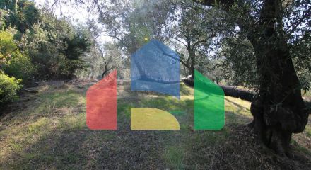 Продажа - Земельный участок 4576 m² на о. Корфу