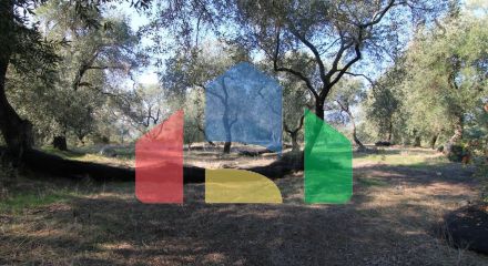 Продажа - Земельный участок 4576 m² на о. Корфу