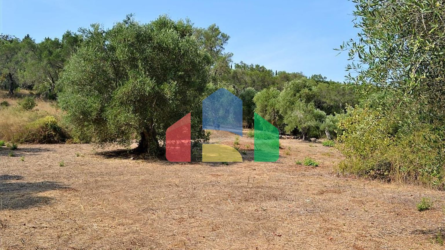 Продажа - Земельный участок 60000 m² на о. Корфу