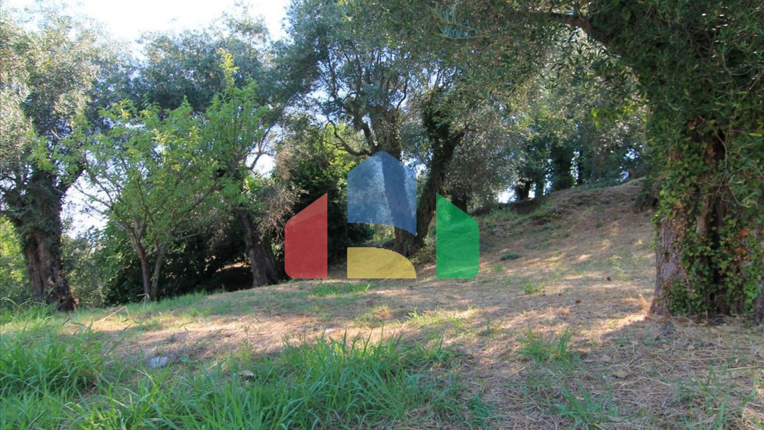 Продаж - Котедж 380 m² на о. Корфу