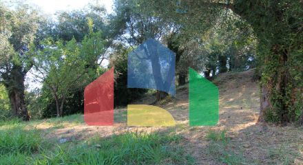 Продаж - Котедж 380 m² на о. Корфу Продаж - Котедж 380 m² на о. Корфу