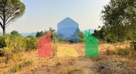 For Sale - Land 21000 m² in Corfu