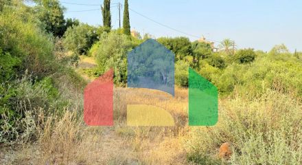 For Sale - Land 21000 m² in Corfu