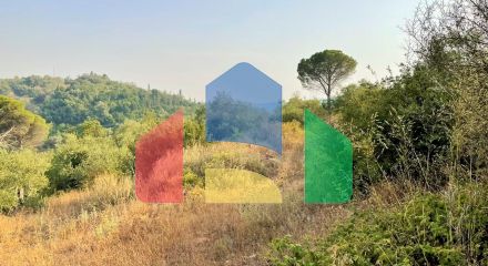For Sale - Land 21000 m² in Corfu