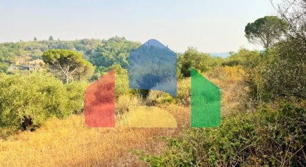 For Sale - Land 21000 m² in Corfu
