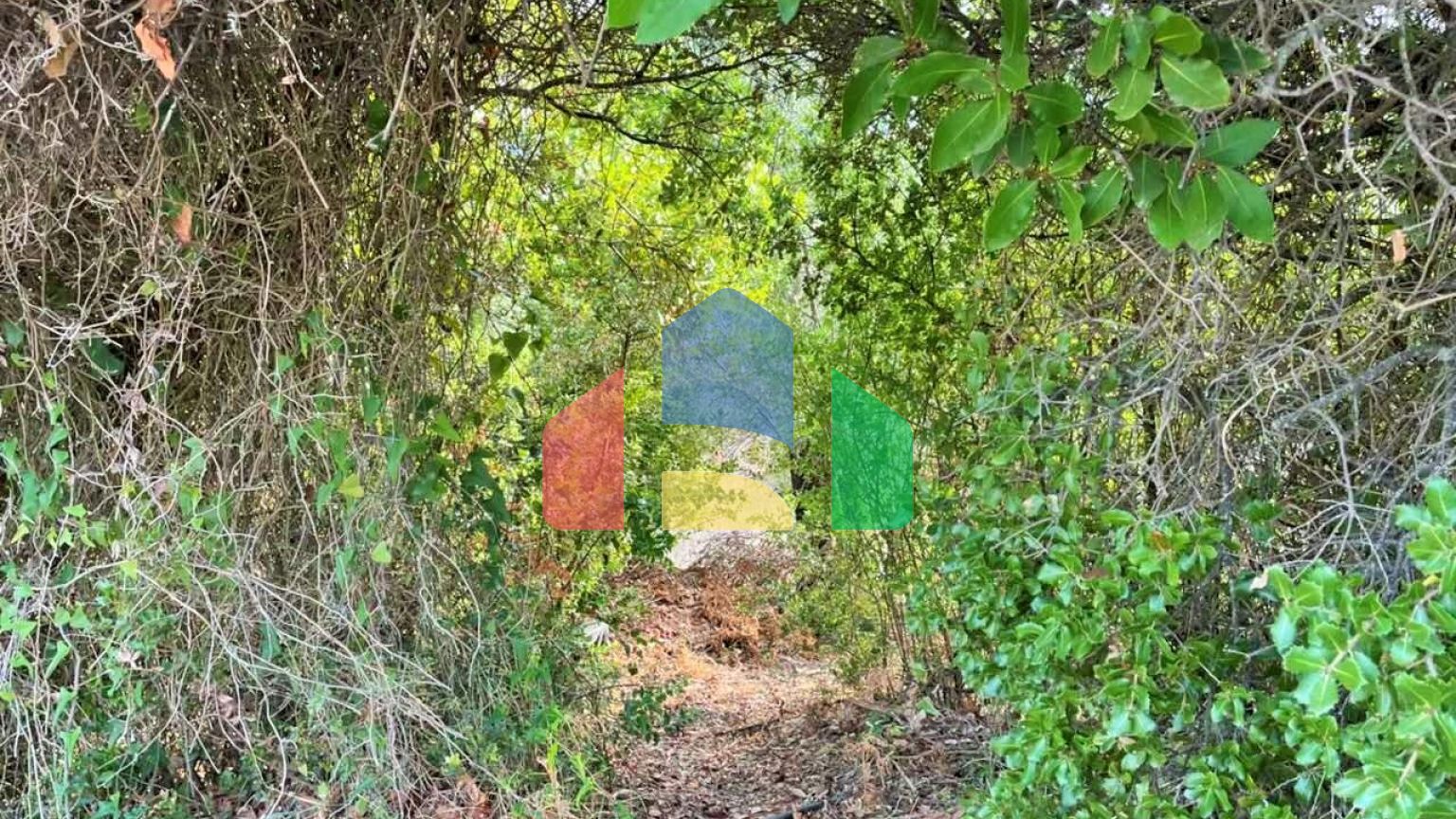 Продажа - Земельный участок 21000 m² на о. Корфу