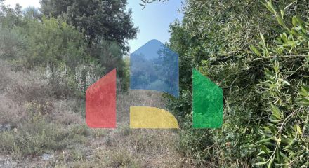 Продажа - Земельный участок 21000 m² на о. Корфу