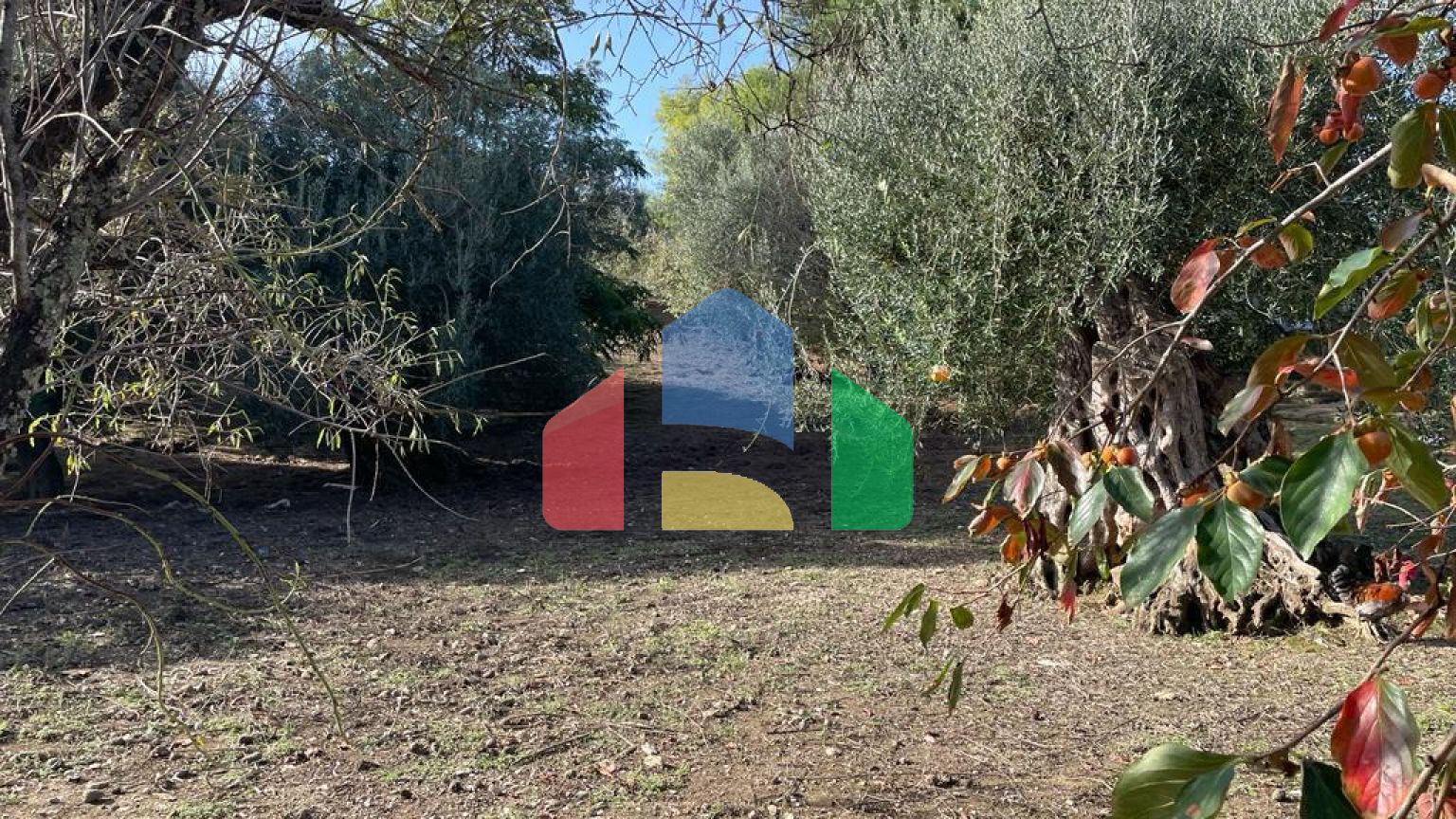 Продажа - Земельный участок 8500 m² на о. Корфу