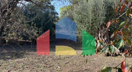 Продажа - Земельный участок 8500 m² на о. Корфу